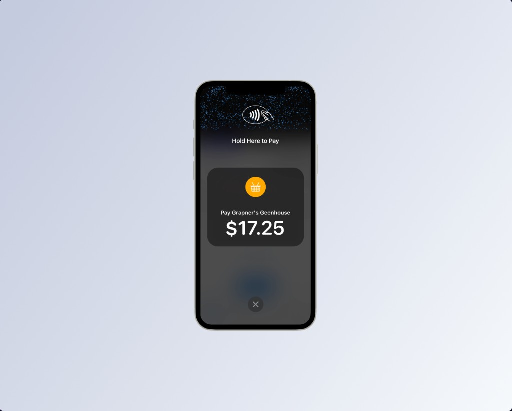 Tap to Pay on iPhone